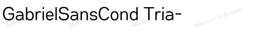 GabrielSansCond Tria字体转换